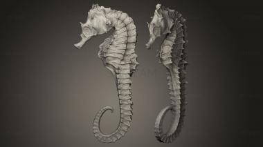 3D model sea horse (STL)